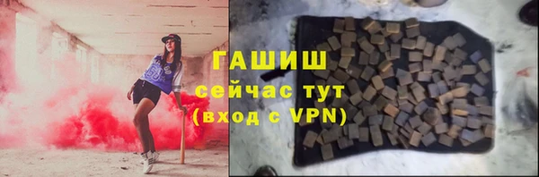 стаф Каменногорск