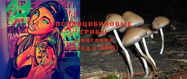 mix Каменка