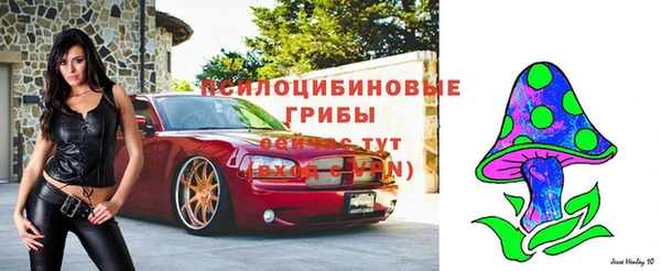 mix Каменка