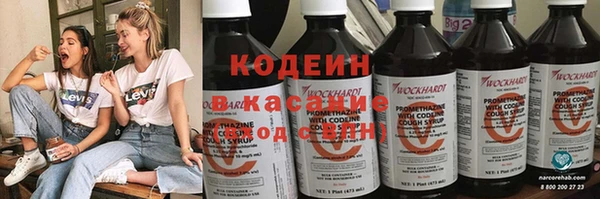 стаф Каменногорск