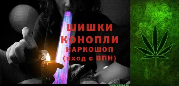 стаф Каменногорск