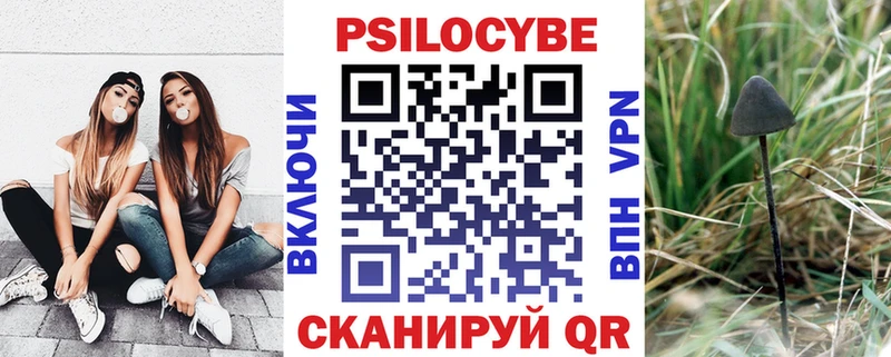 Псилоцибиновые грибы ЛСД  ОМГ ОМГ сайт  Щёкино 