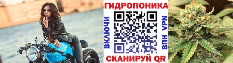 цена наркотик  Щёкино  Канабис план 
